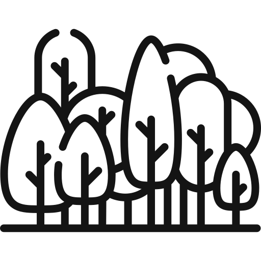 landscaping services